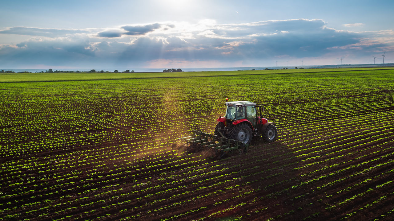 Traktor bei der Kultivierung eines Feldes im Frühjahr