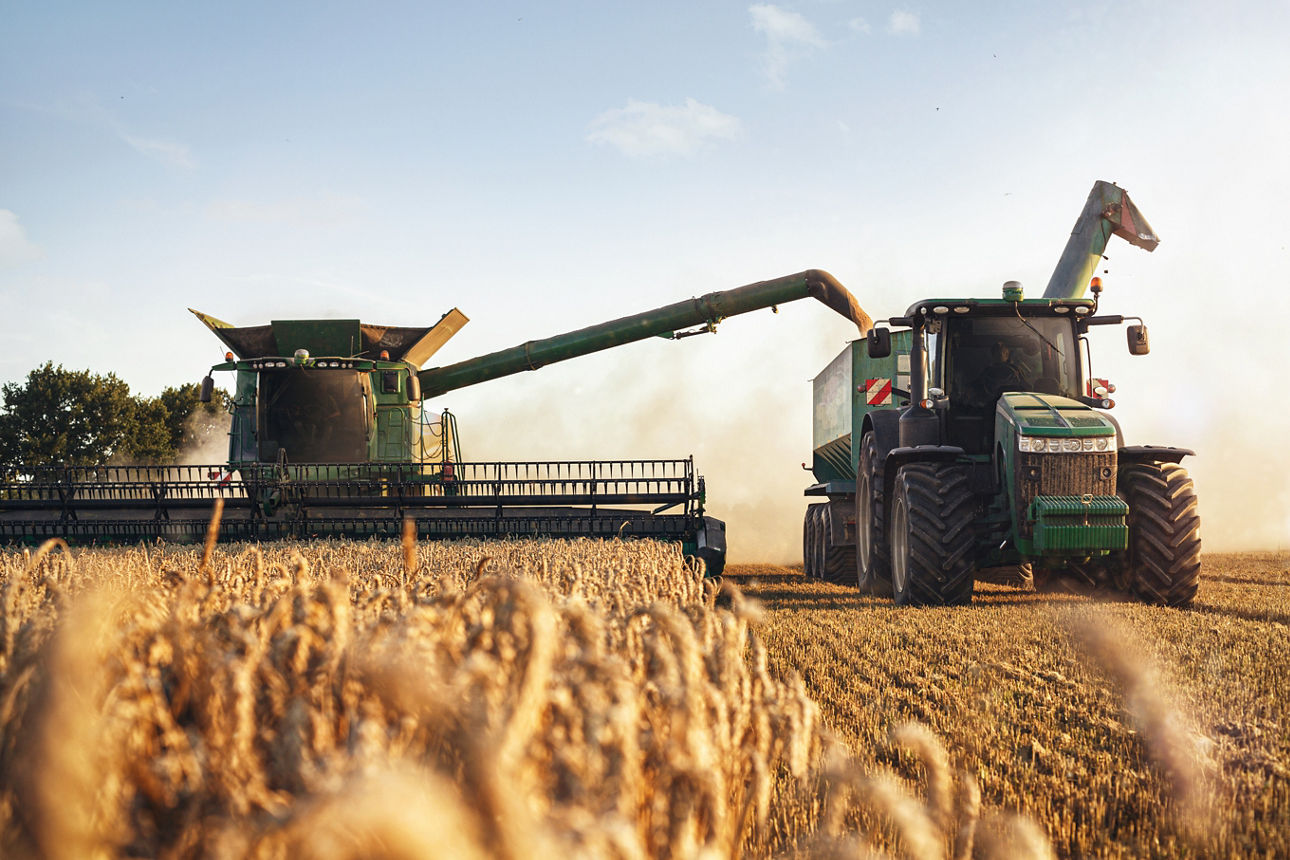 Mähdrescher und Traktor bei der Ernte auf einem Weizenfeld