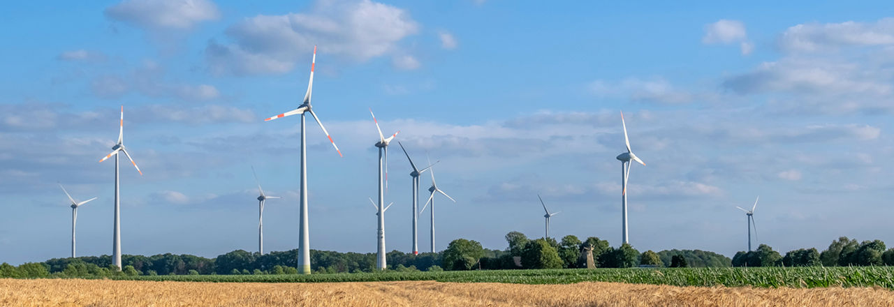 ein Feld mit mehreren hoch aufragenden Windrädern