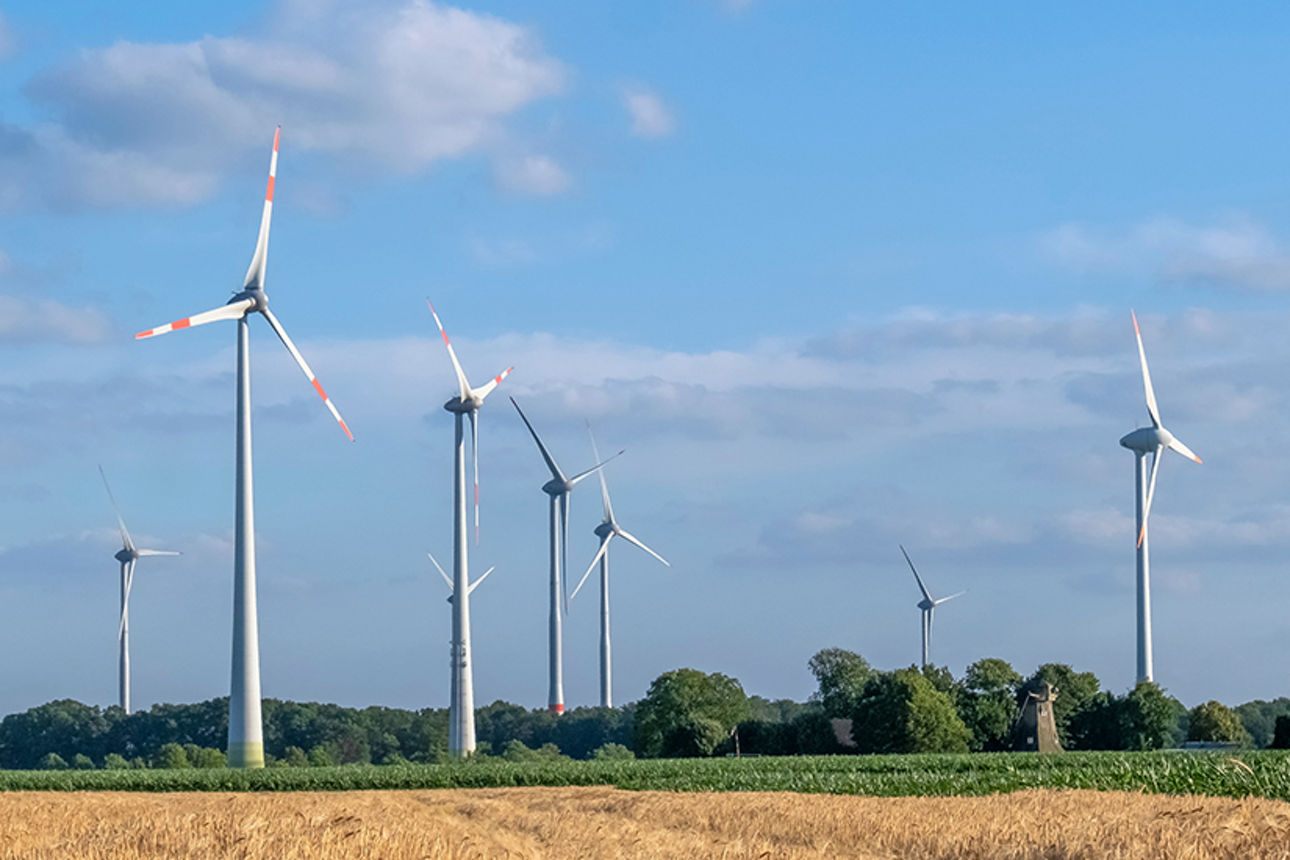 ein Feld mit mehreren hoch aufragenden Windrädern