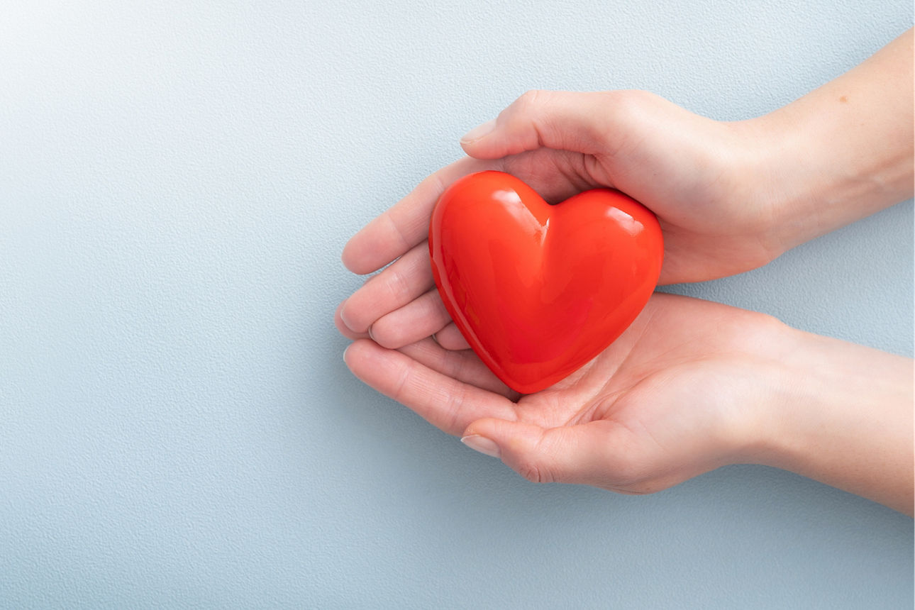 Ein rotes Herz wird symbolisch von zwei Händen gehalten.