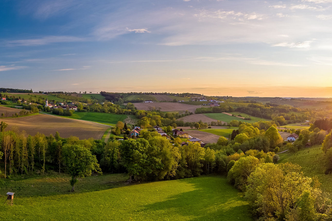Blick über Felder und Wiesen