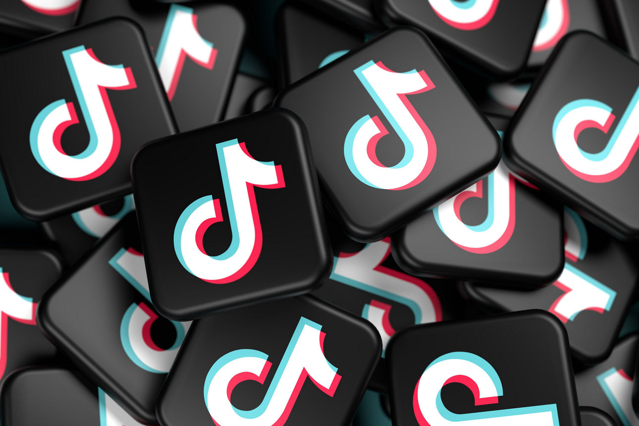 TikTok Icon