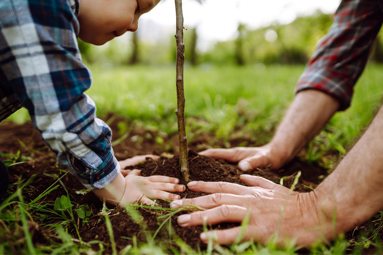 Kind und Mann pflanzen einen Baum