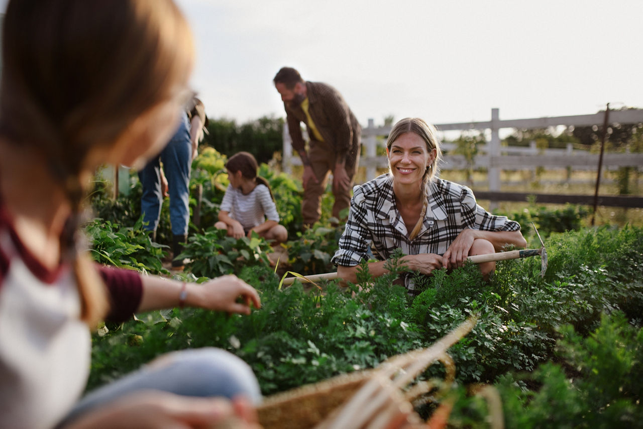 Familie arbeitet auf dem Acker