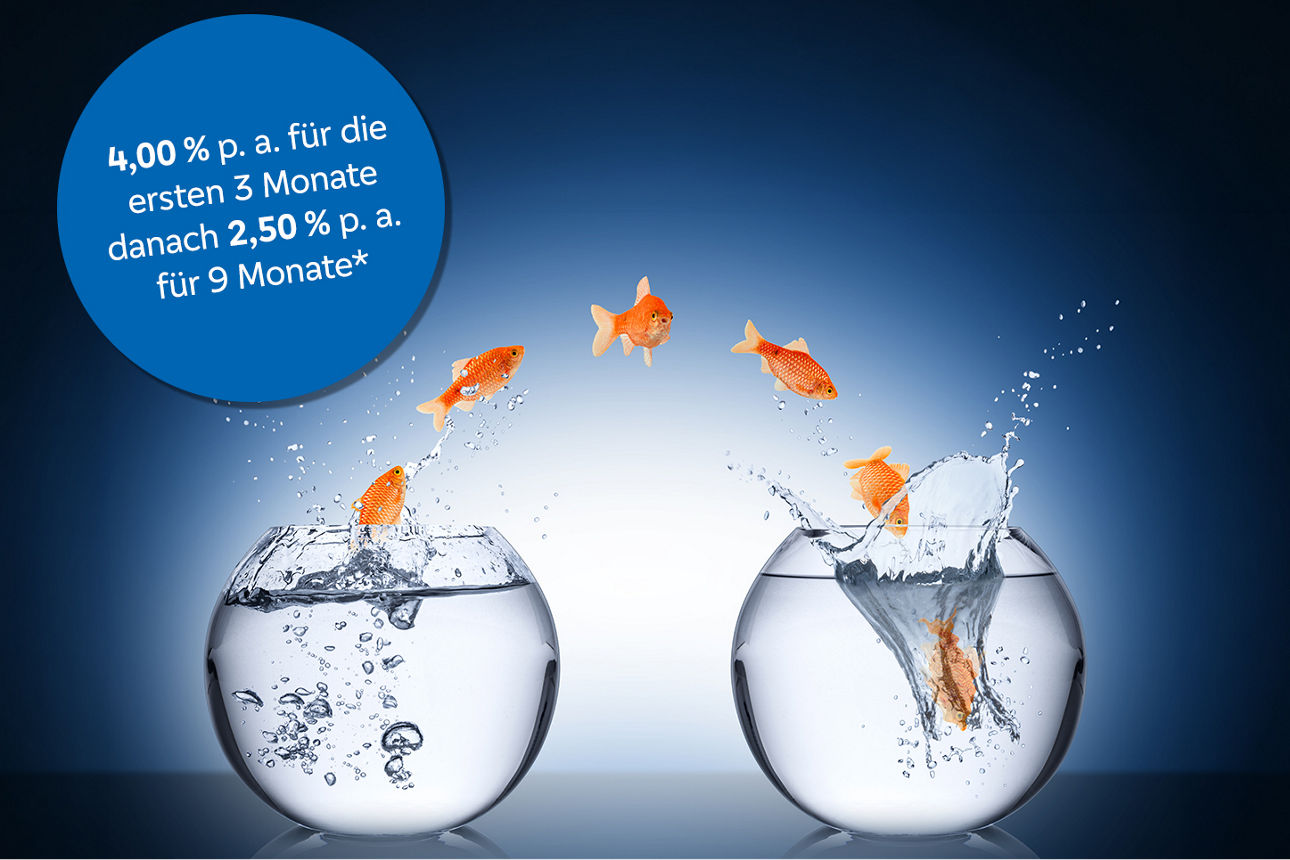 Goldfische springen von einem Glas ins andere. 4,00 % p. a. für die ersten 3 Monate danach 2,50 % p. a. für 9 Monate*