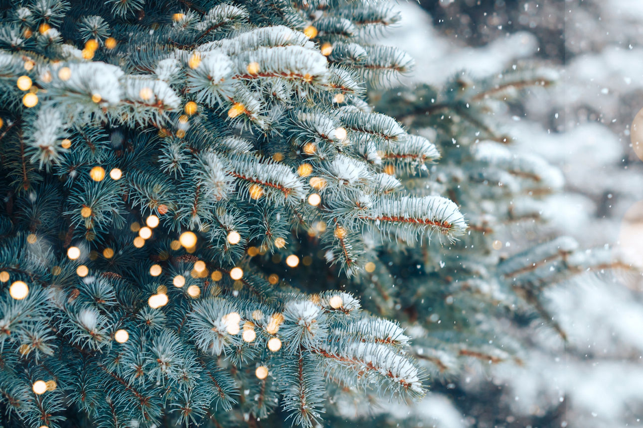 Winterwald mit Lichtern