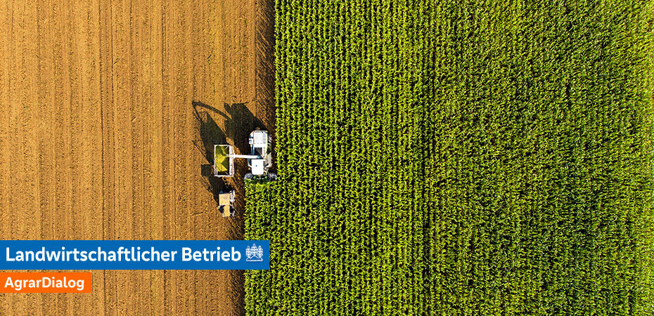 Luftaufnahme von Mähdrescher auf Feld