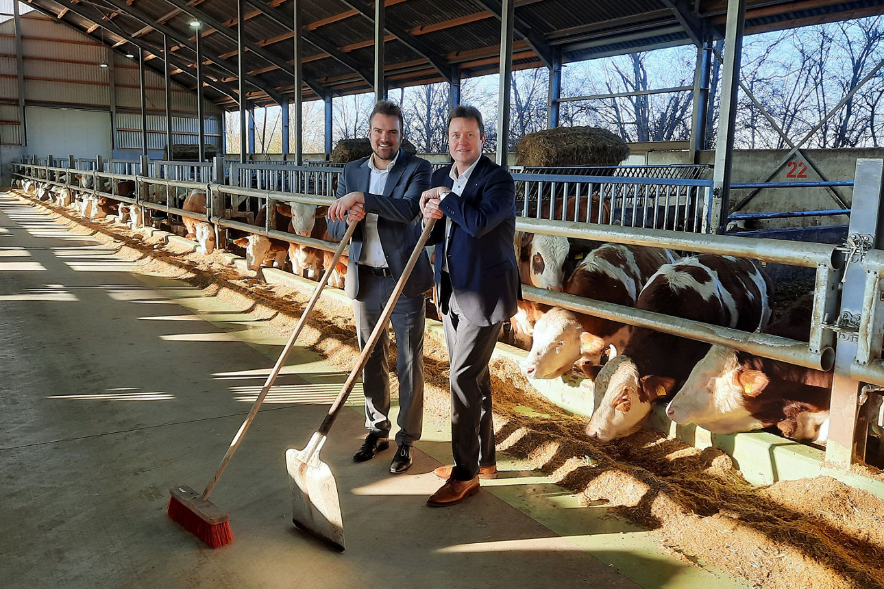 Junge Landwirte beim Stallmisten