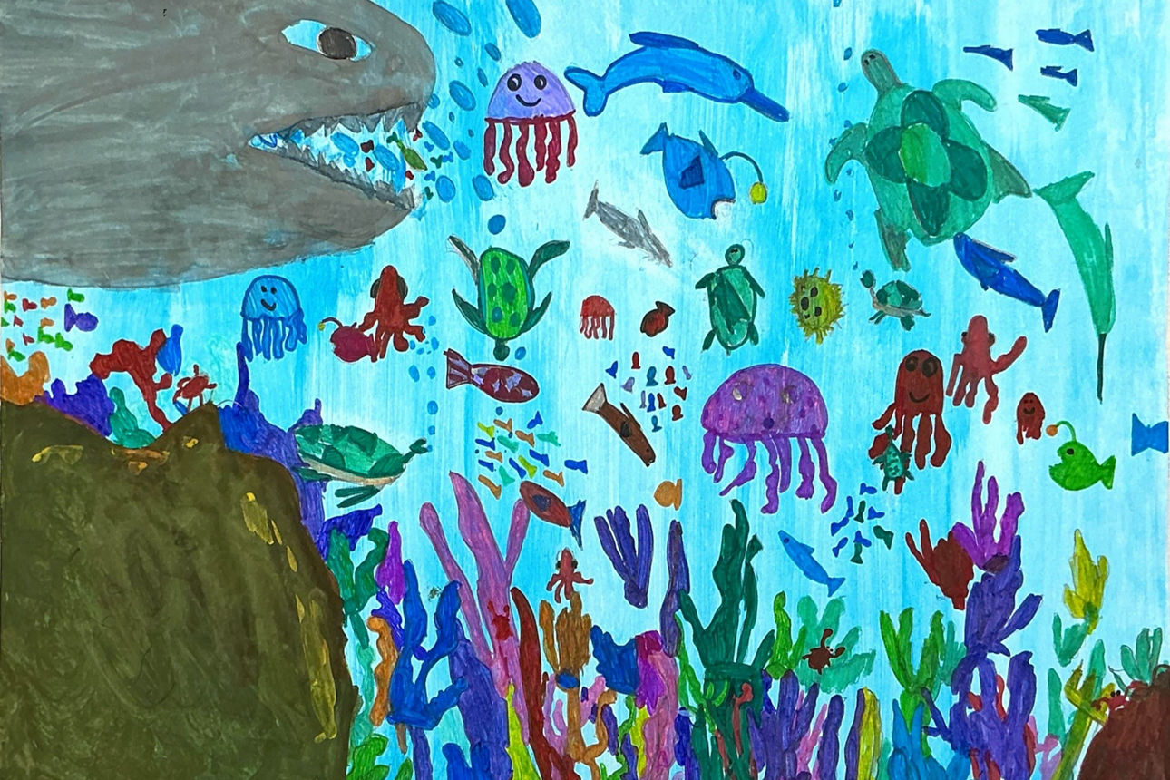 Auf einer Zeichnung schwimmt ein großer Fisch mit vielen anderen Meerestieren im Wasser