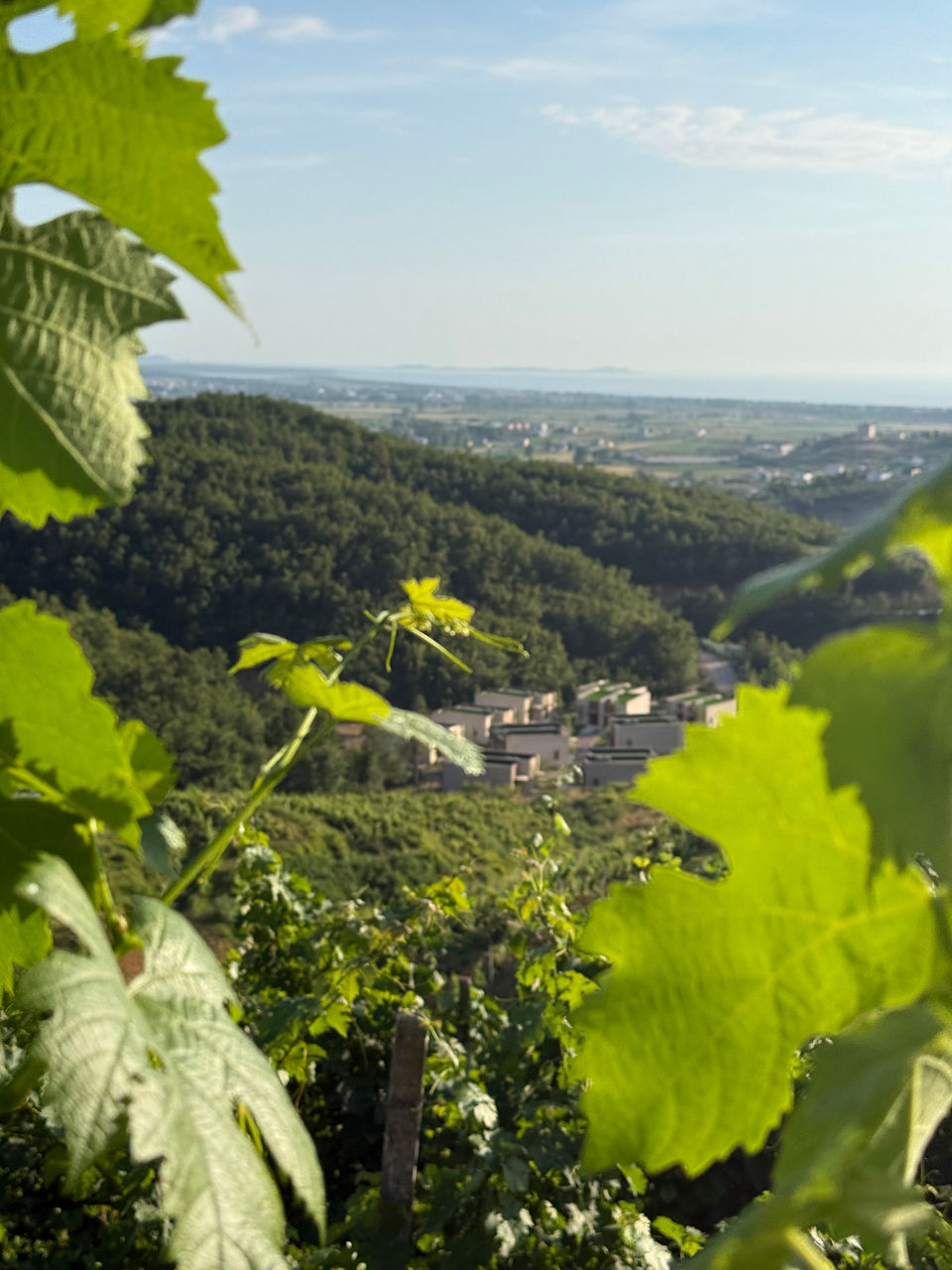 Ein Foto von der Landschaft Albaniens/Nordmazedonien zu sehen.