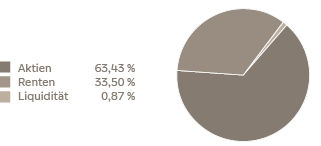 Grafische Darstellung der Allokation nach Anlageklassen