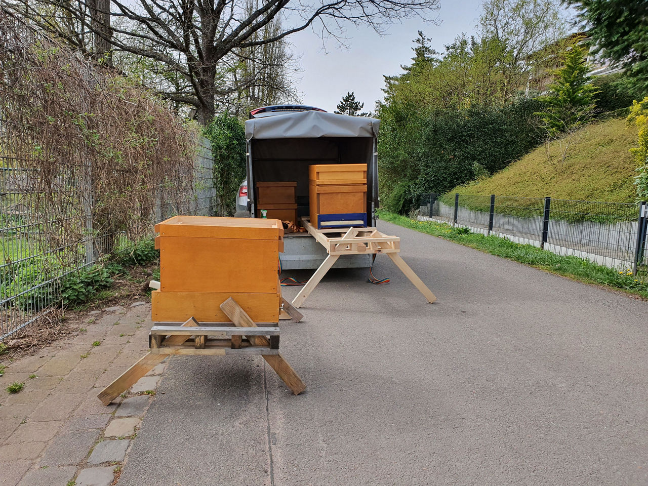 Ankunft der Bienen in Pirmasens