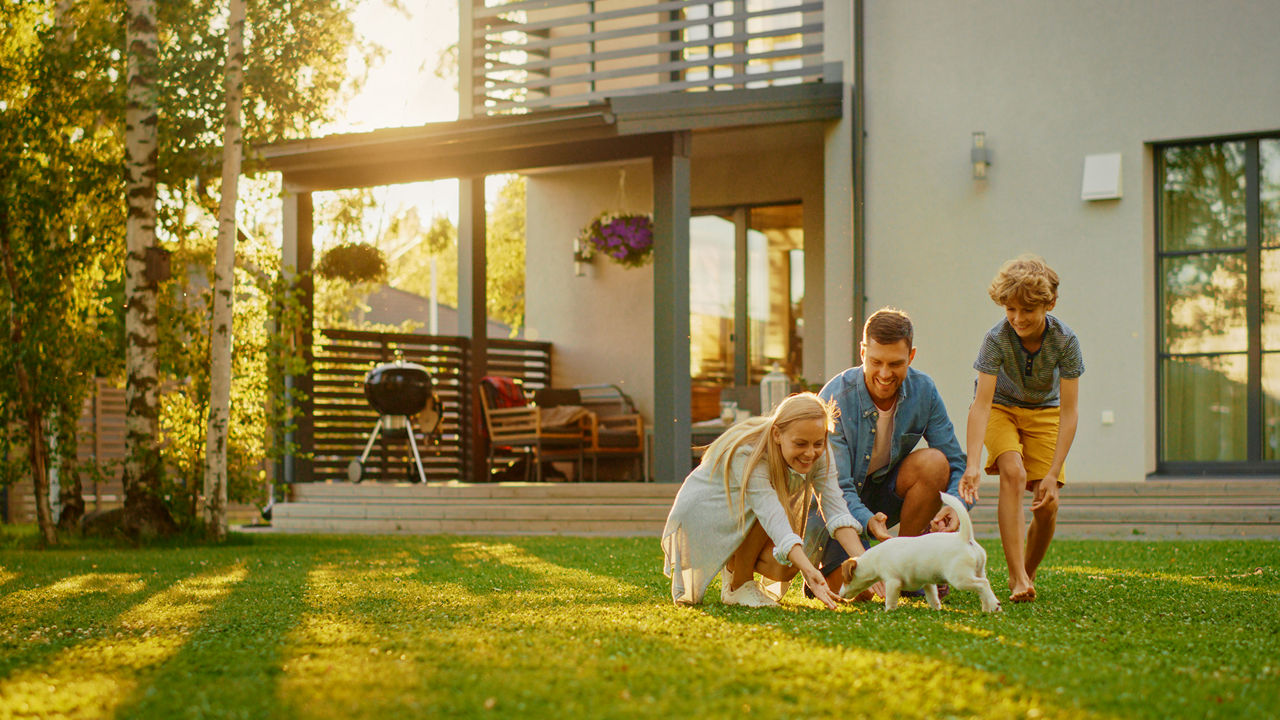 Familie spielt im Garten mit dem Hund