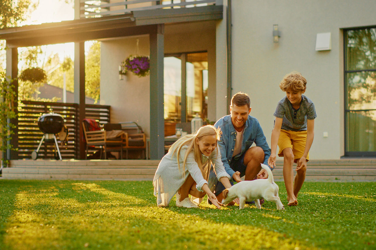 Familie spielt im Garten mit dem Hund