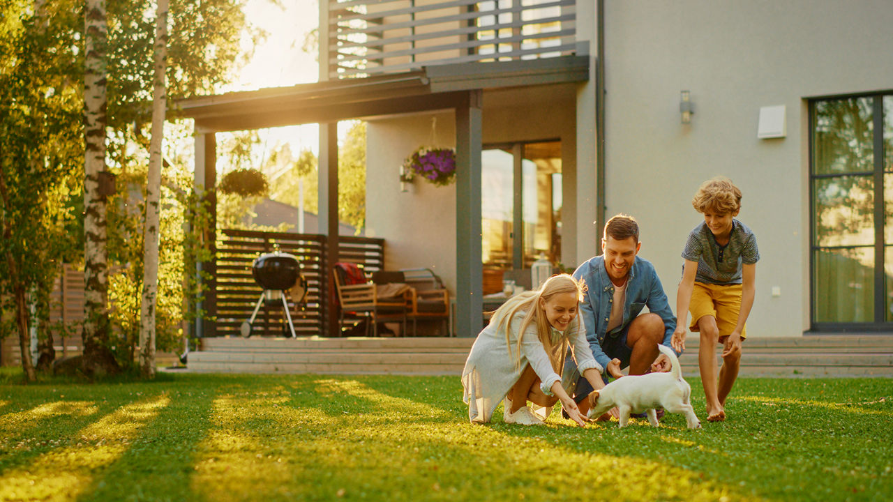 Familie spielt im Garten mit dem Hund