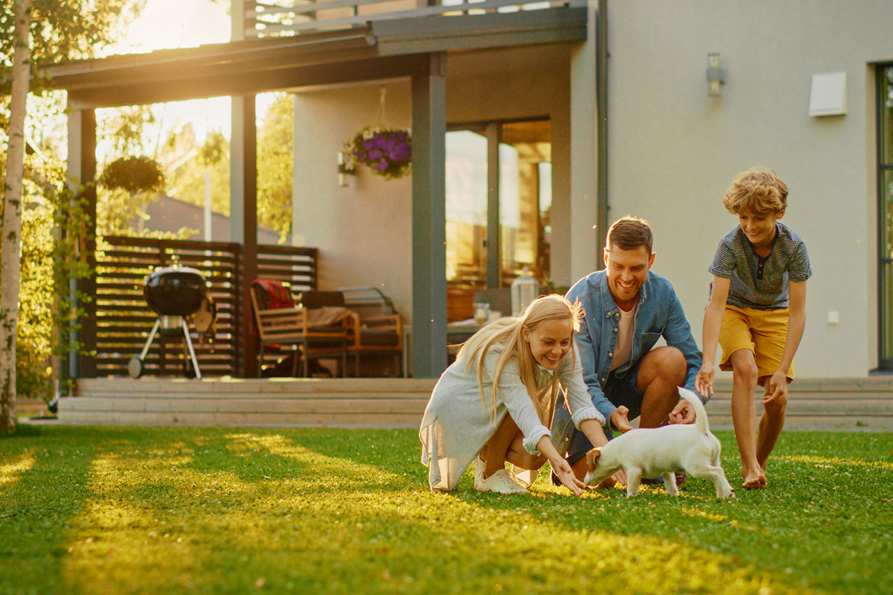 Familie spielt im Garten mit dem Hund