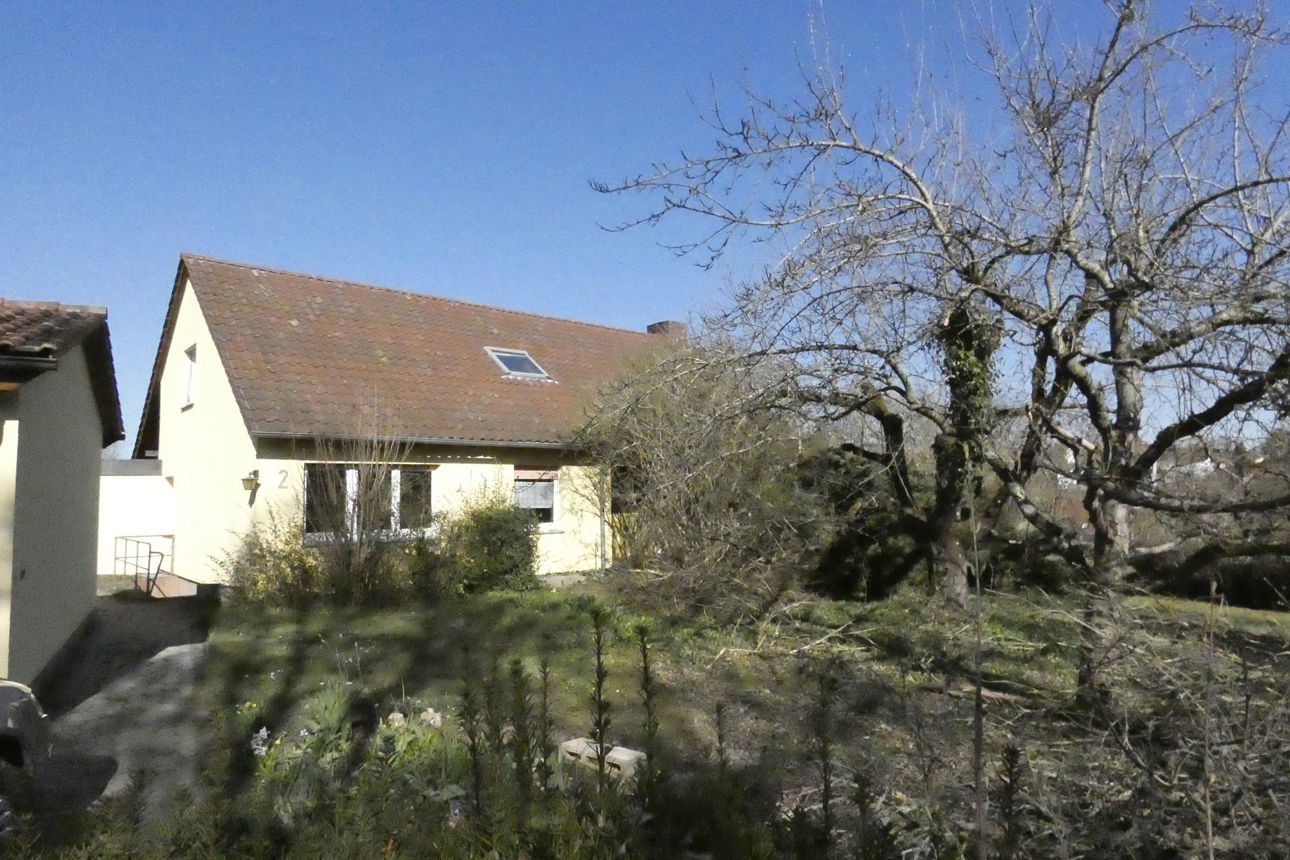 TESTBILD