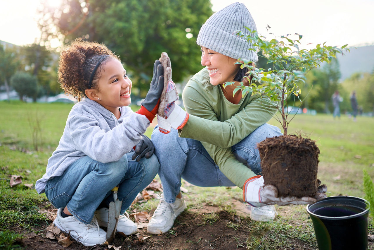 Frau und Kind pflanzen einen Baum im Garten