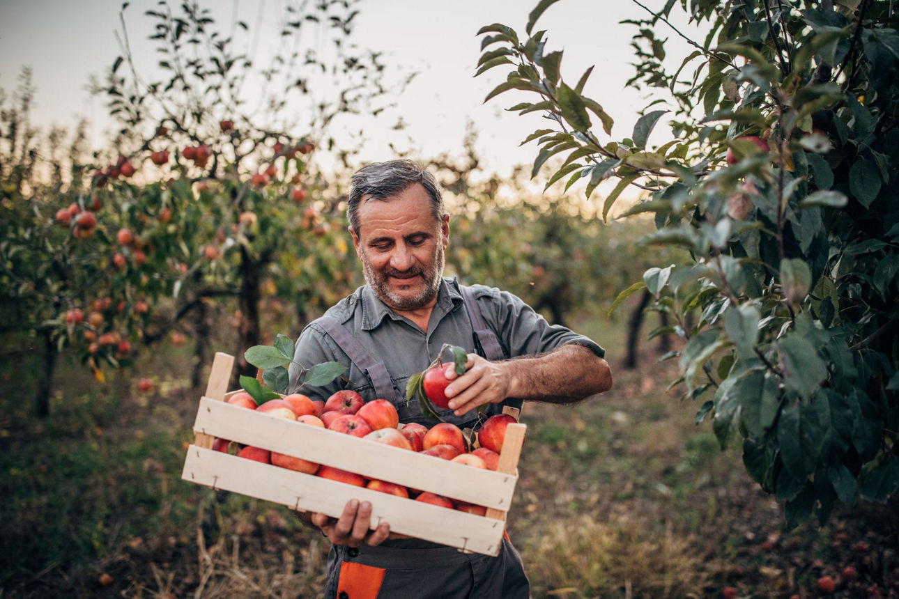 Nachhaltigkeit in der Raiffeisenbank Main-Spessart