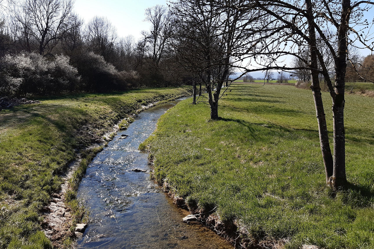 Flussgraben