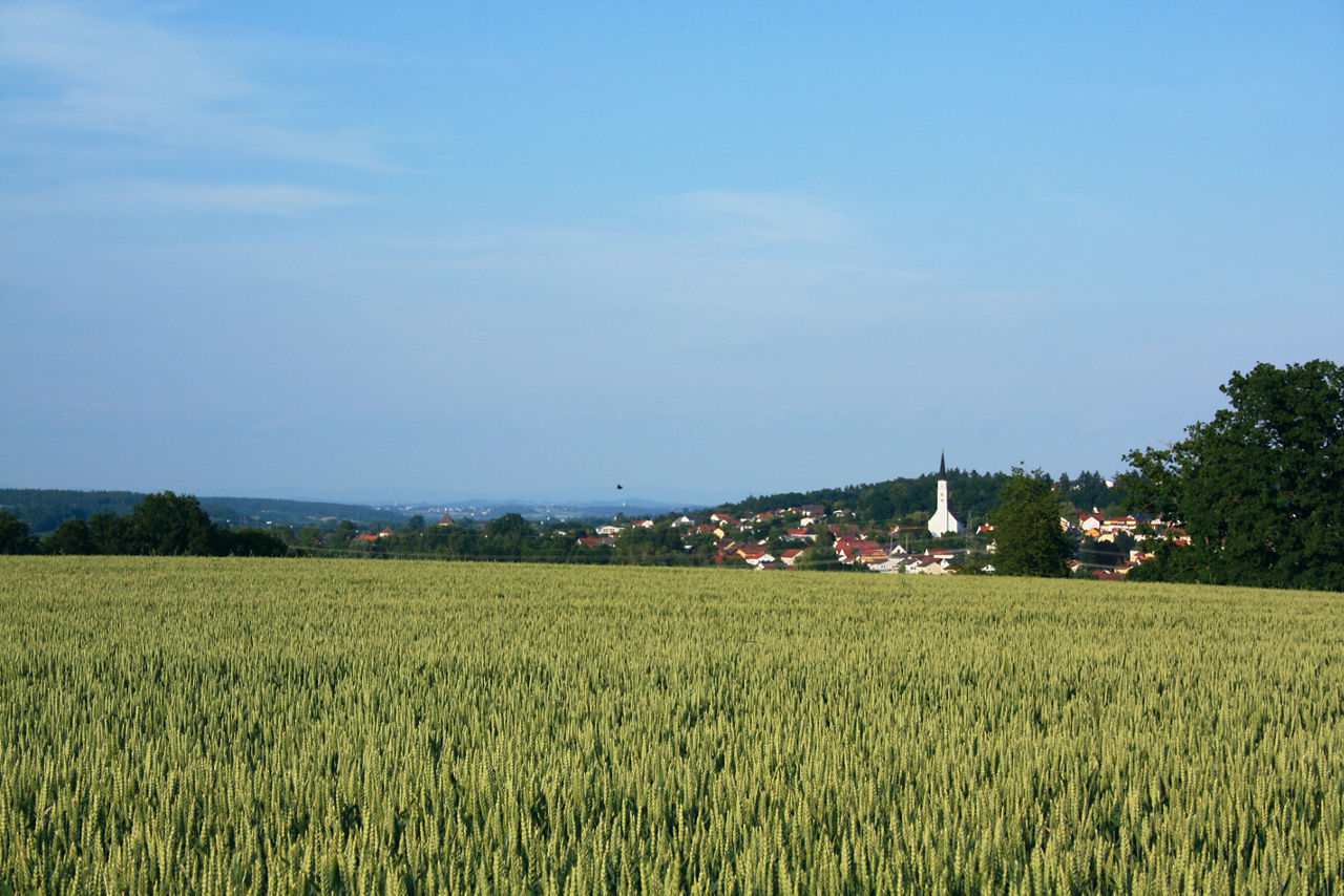 Bild von Arnstorf mit Kirche und Blick Richtung Bayerischer Wald