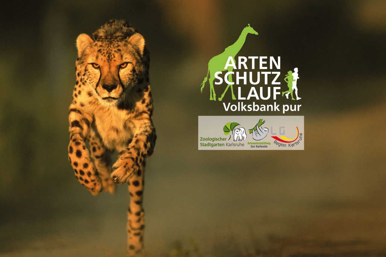 4. Artenschutzlauf - 23. November 2025 Gutes tun und jetzt anmelden.
