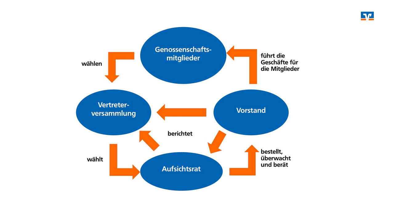 Eine Grafik zeigt die Aufgaben der Genossenschaftsorgane. In blauen Kreisen sind "Genossenschaftsmitglieder", "Vertreterversammlung", "Aufsichtsrat" und "Vorstand" angeordnet. Orange Pfeile und Beschriftungen wie "wählen", "führt die Geschäfte für die Mitglieder", "berichtet" und "bestellt, überwacht und berät" stellen die Beziehungen und Funktionen dar.