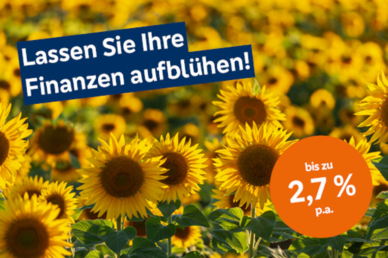 Kroskusse Frühling