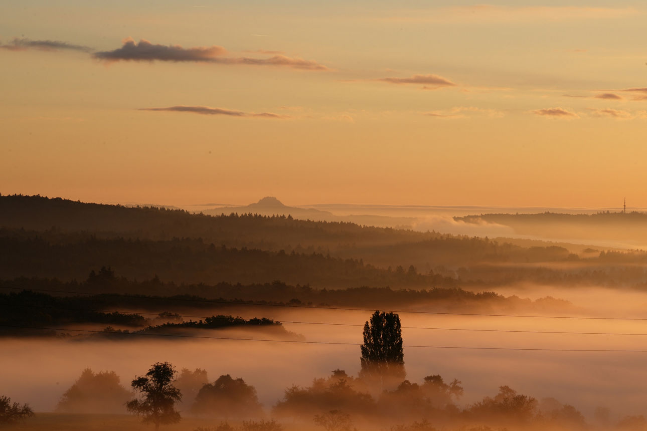 Sonnenaufgang über nebeligem Baltersweil