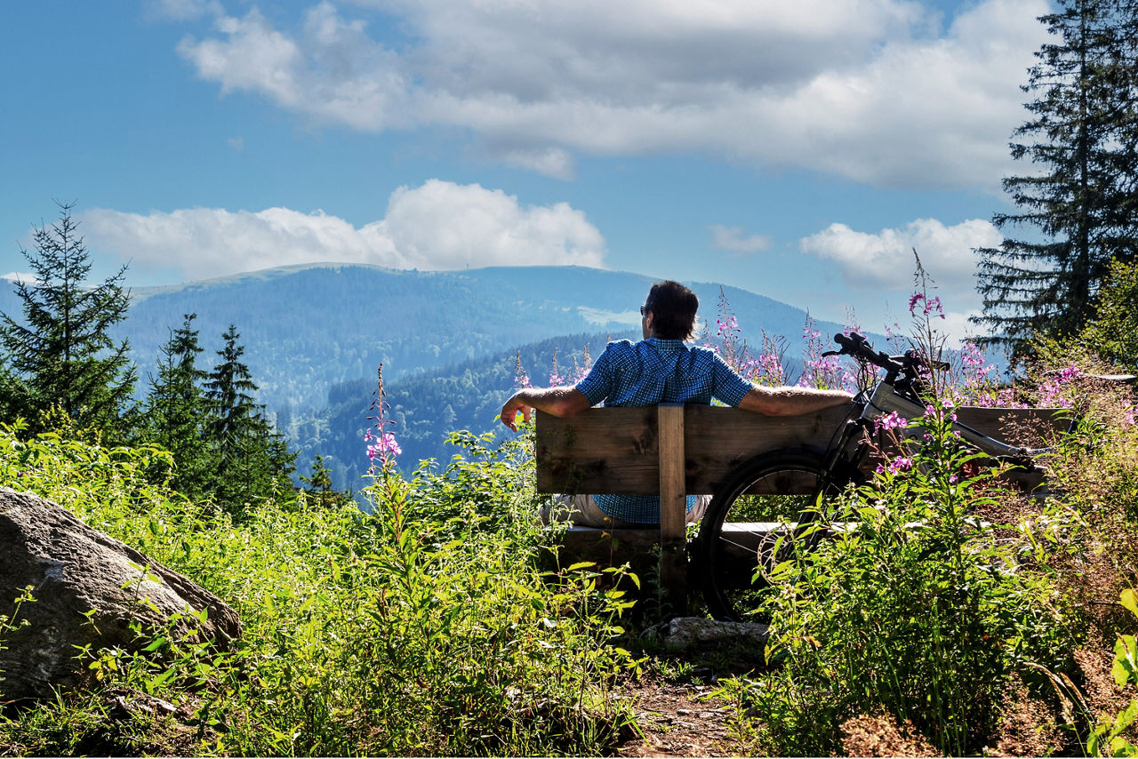 Eine Person blickt auf den Schwarzwald