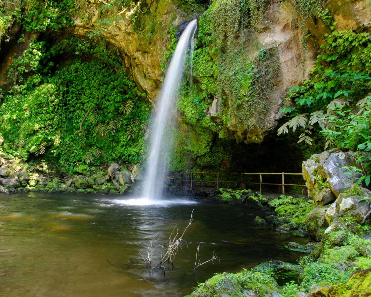 Ein Wasserfall mit vielen grünen Pflanzen herum
