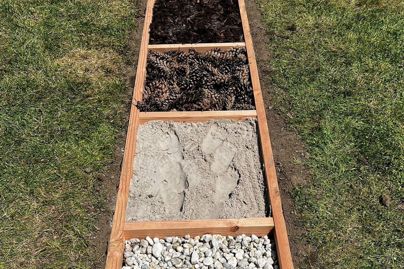 Der Barfußpfad auf einer Wiese