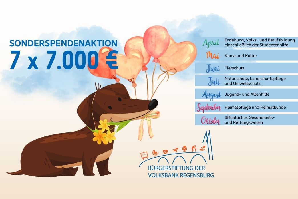 Ein illustrierter Spenden-Dackel der Bürgerstiftung mit Aufzählung der verschiedenen Projekte