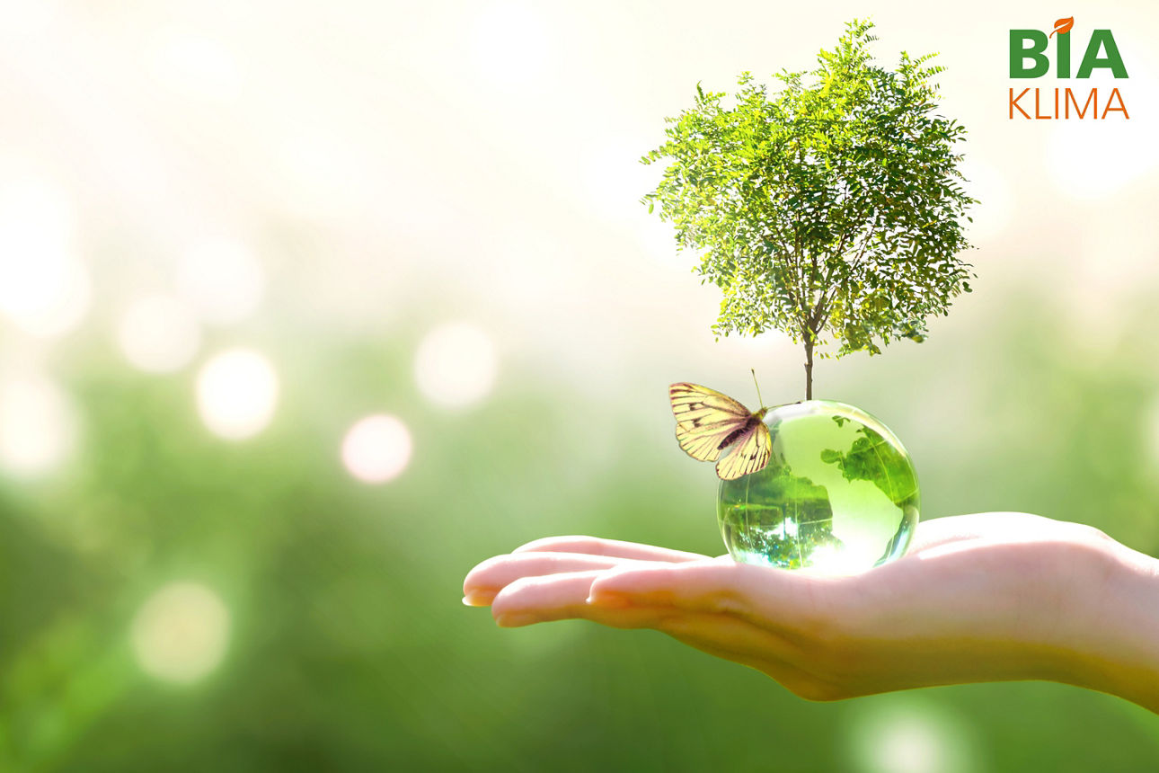 Eine Hand hält eine Weltkugel aus Glas. Darauf sitzt ein Schmetterling und ein Baum wächst aus der Kugel.