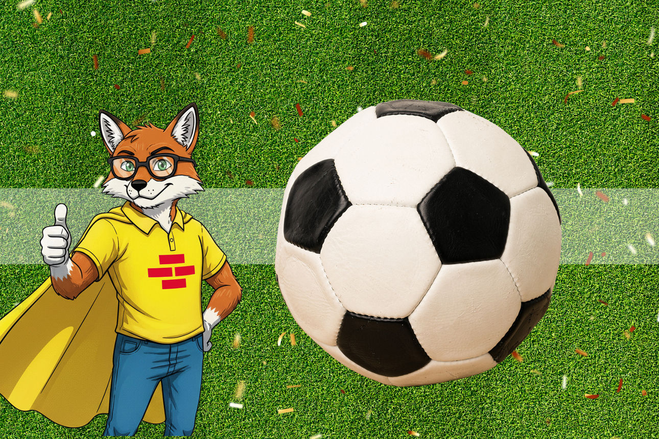 Bausparfuchs mit Fußball