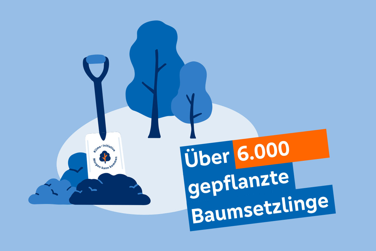 Illustration, die zeigt, wie viele Baumsetzlinge gepflanzt wurden