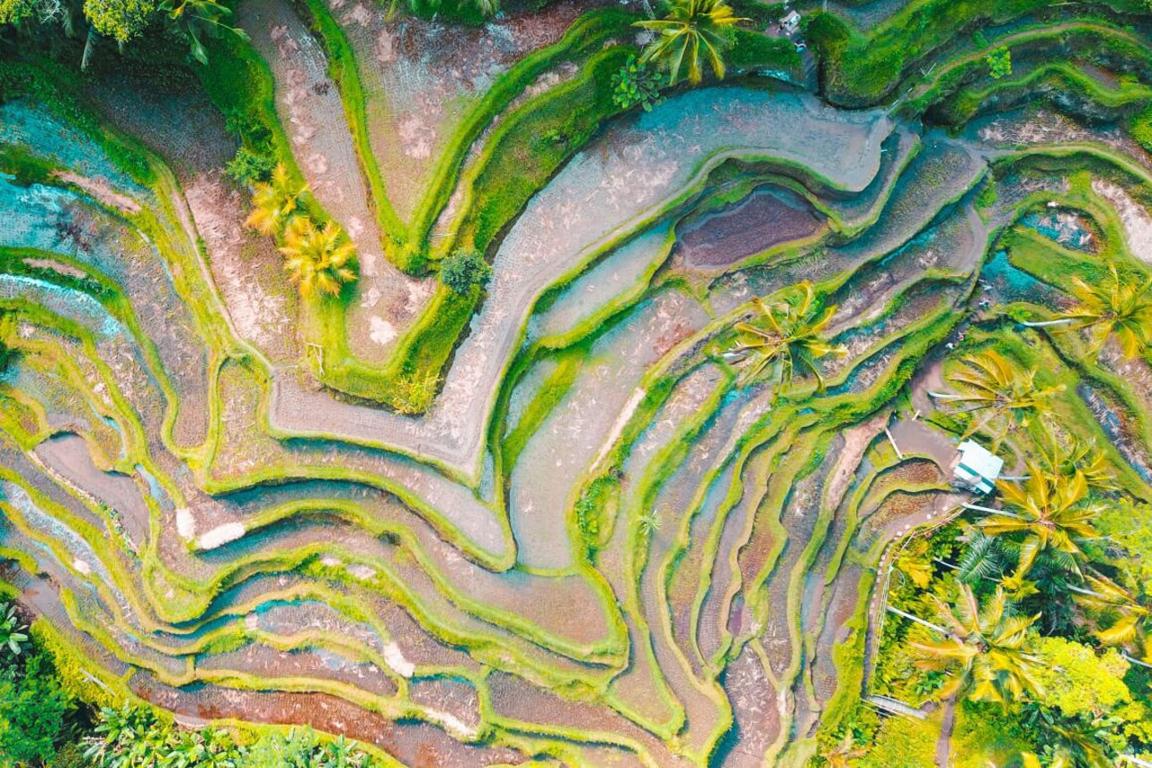 Drohnenaufnahme von Reisterreassen in Bali
