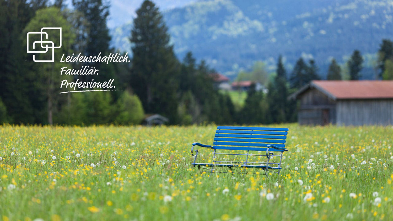 Eine blaue Bank steht in einem blühenden Feld