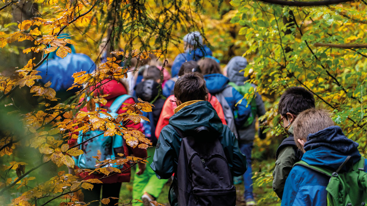ein Gruppe von Jugendlichen wandert durch den Wald