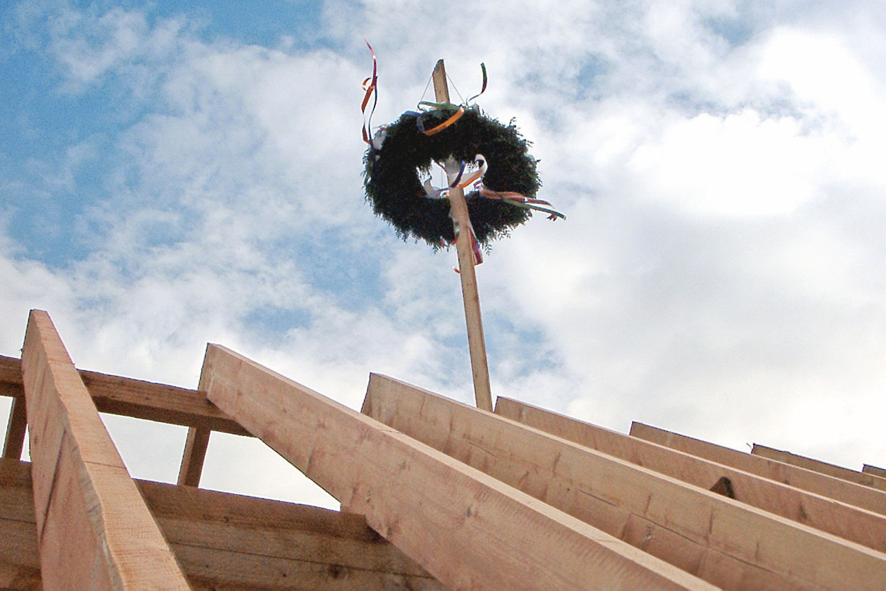 Ein Richtfestbaum ist von unten zu sehen. Er steht auf einem Dachstuhl.