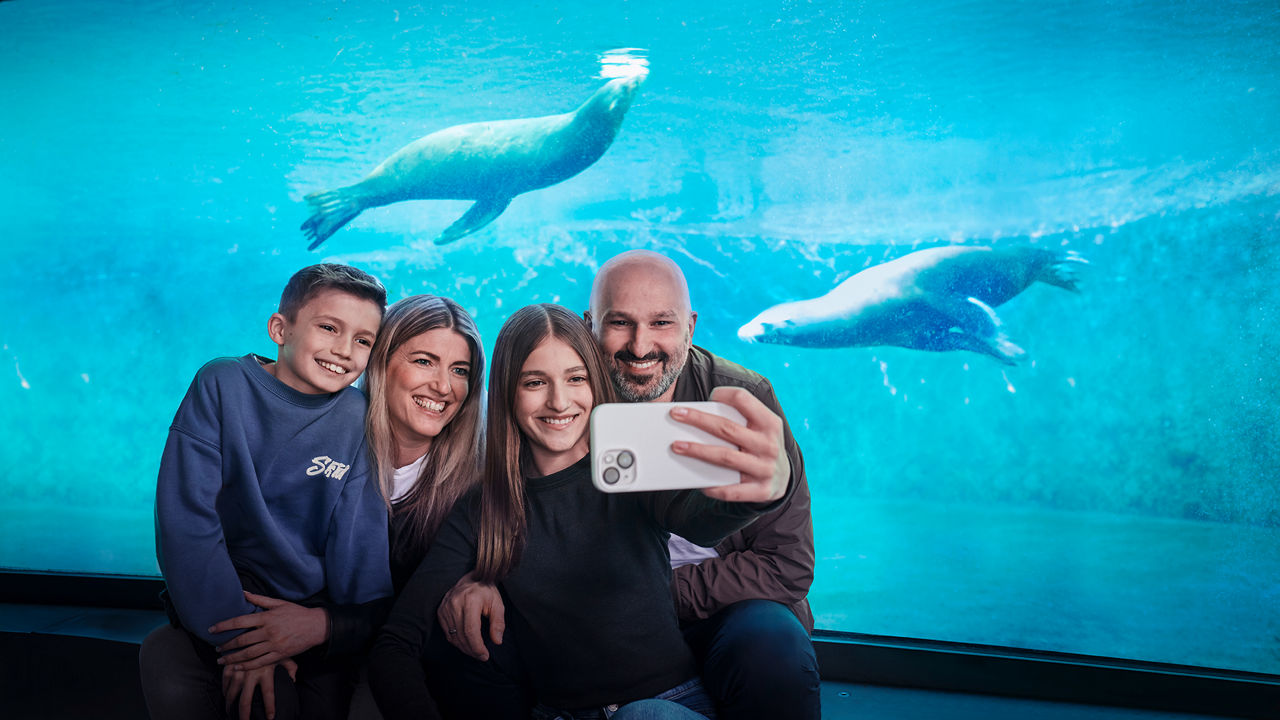 PUR heißt, Banking so leicht wie Selfies. 