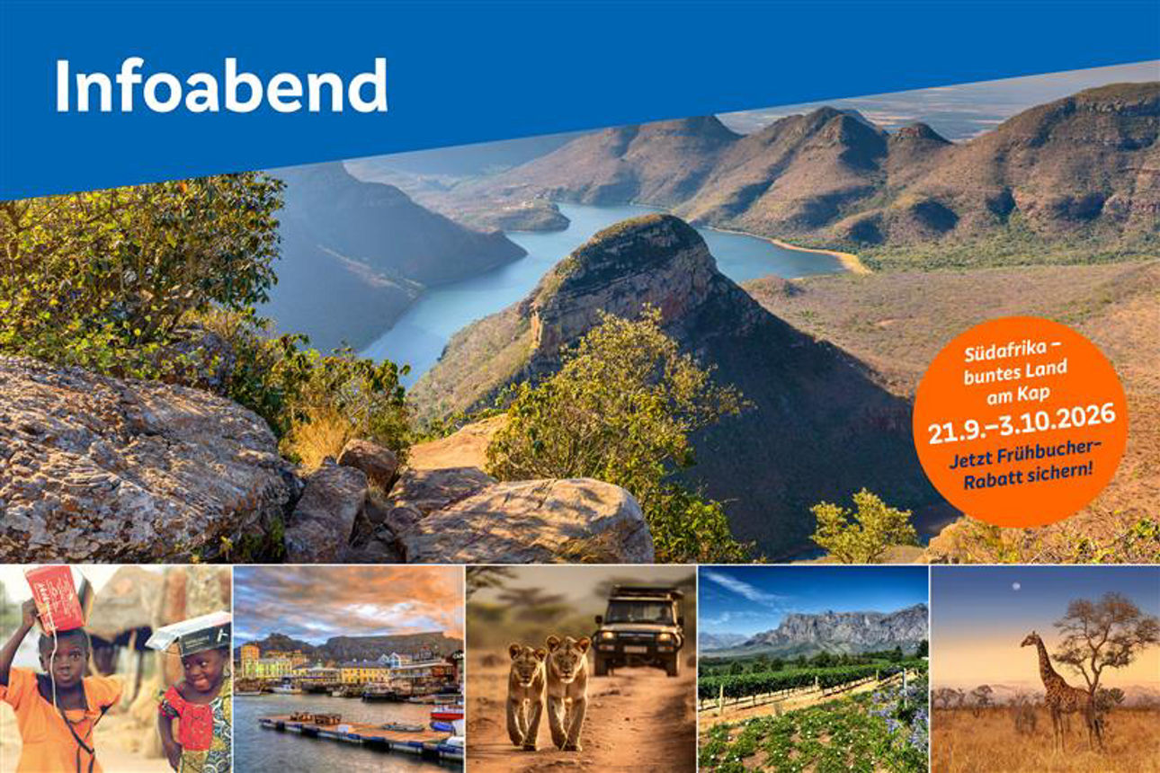 Mehrere Fotos mit Landschaften, Menschen und Tieren in Südafrika