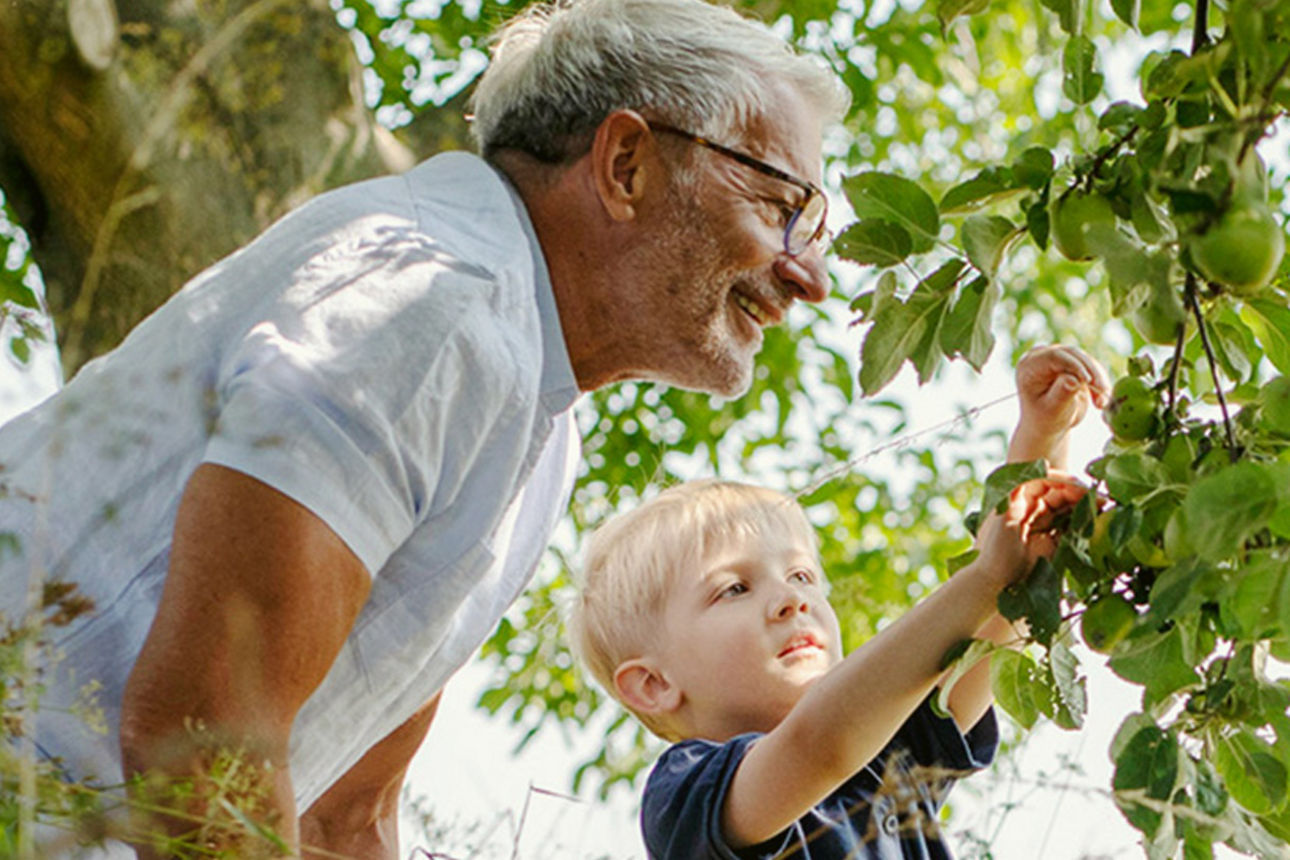 Opa schaut mit Enkel einen Baum an