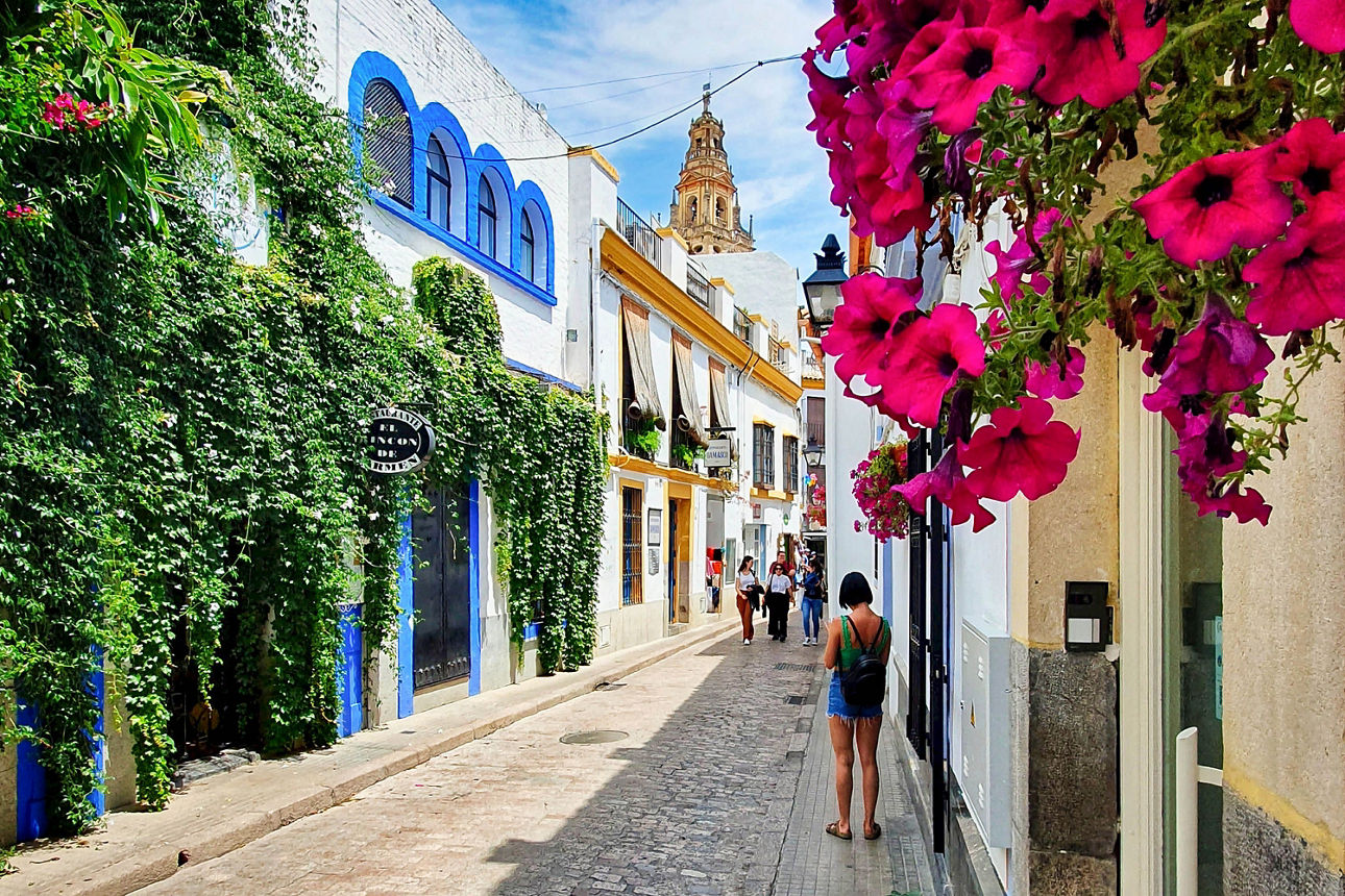Eng gepflasterte Straße mit weißen Häusern, blauen Fensterrahmen, grünen Kletterpflanzen und pinken Blumen, mehrere Fußgänger unterwegs.