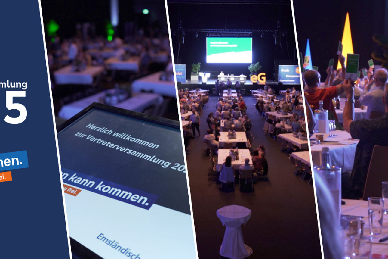 Unsere Vertreterversammlung 2025