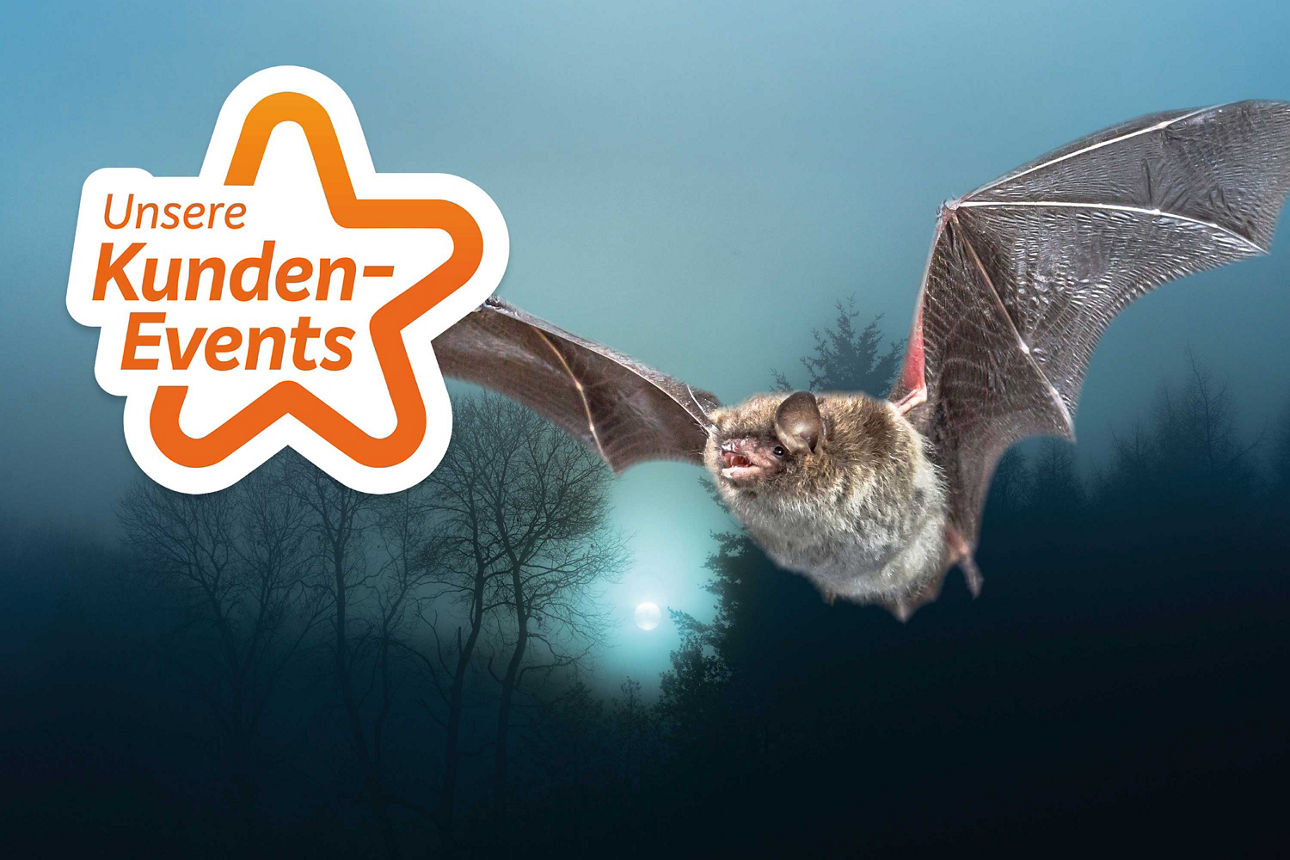 Fledermaus vor nächtlichem Wald mit Vollmond; links ein Logo mit der Aufschrift ‚Unsere Kunden-Events‘
