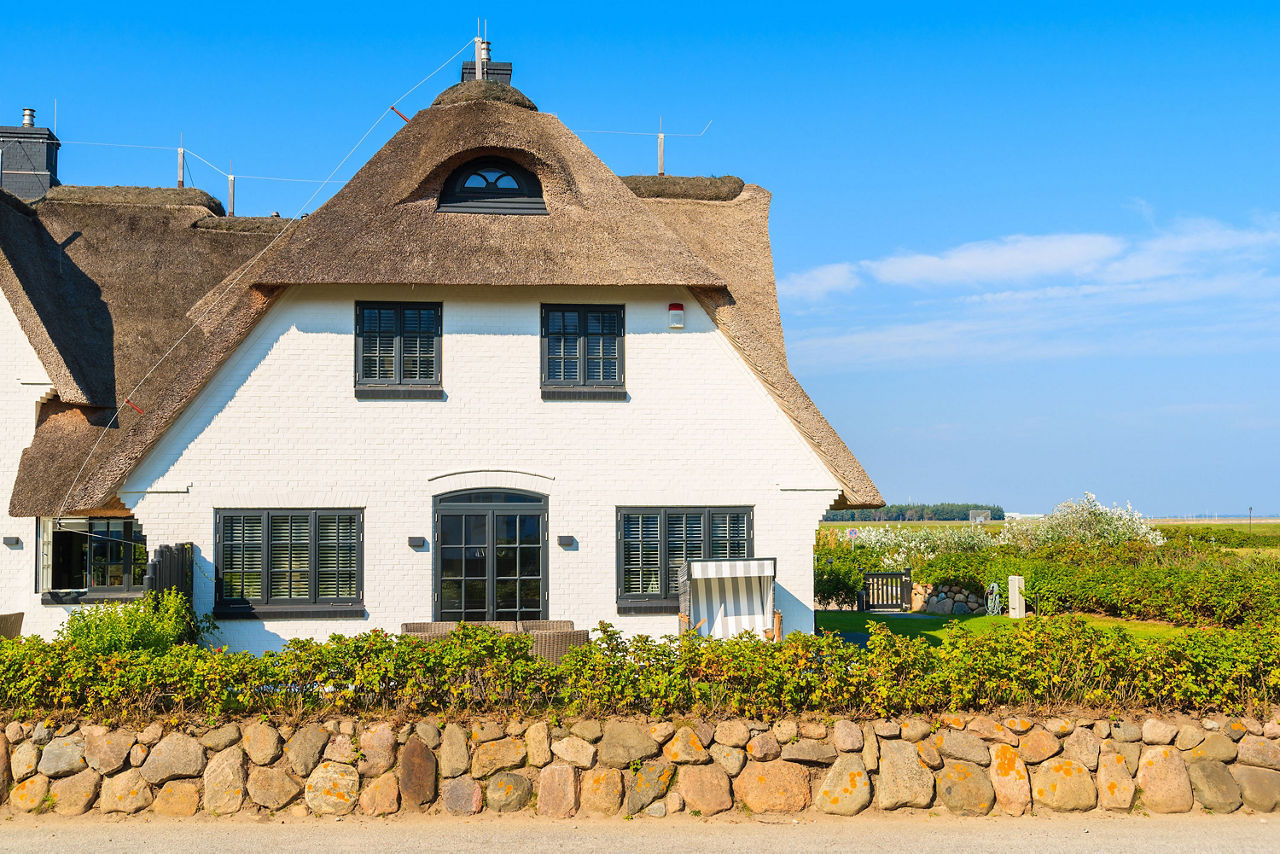 Ferienhaus mit Reetdach im Grünen