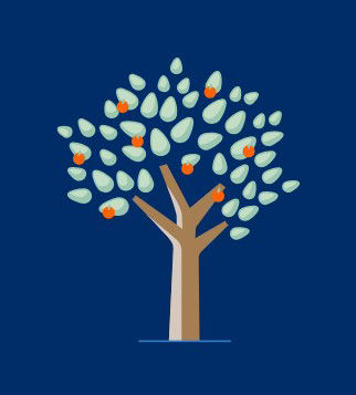 Baum-Altersvorsorgerechner