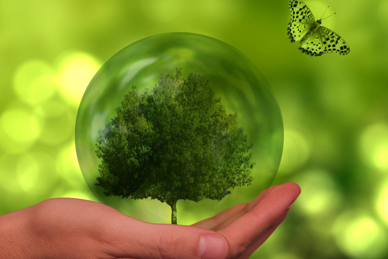 Handfläche mit Baum